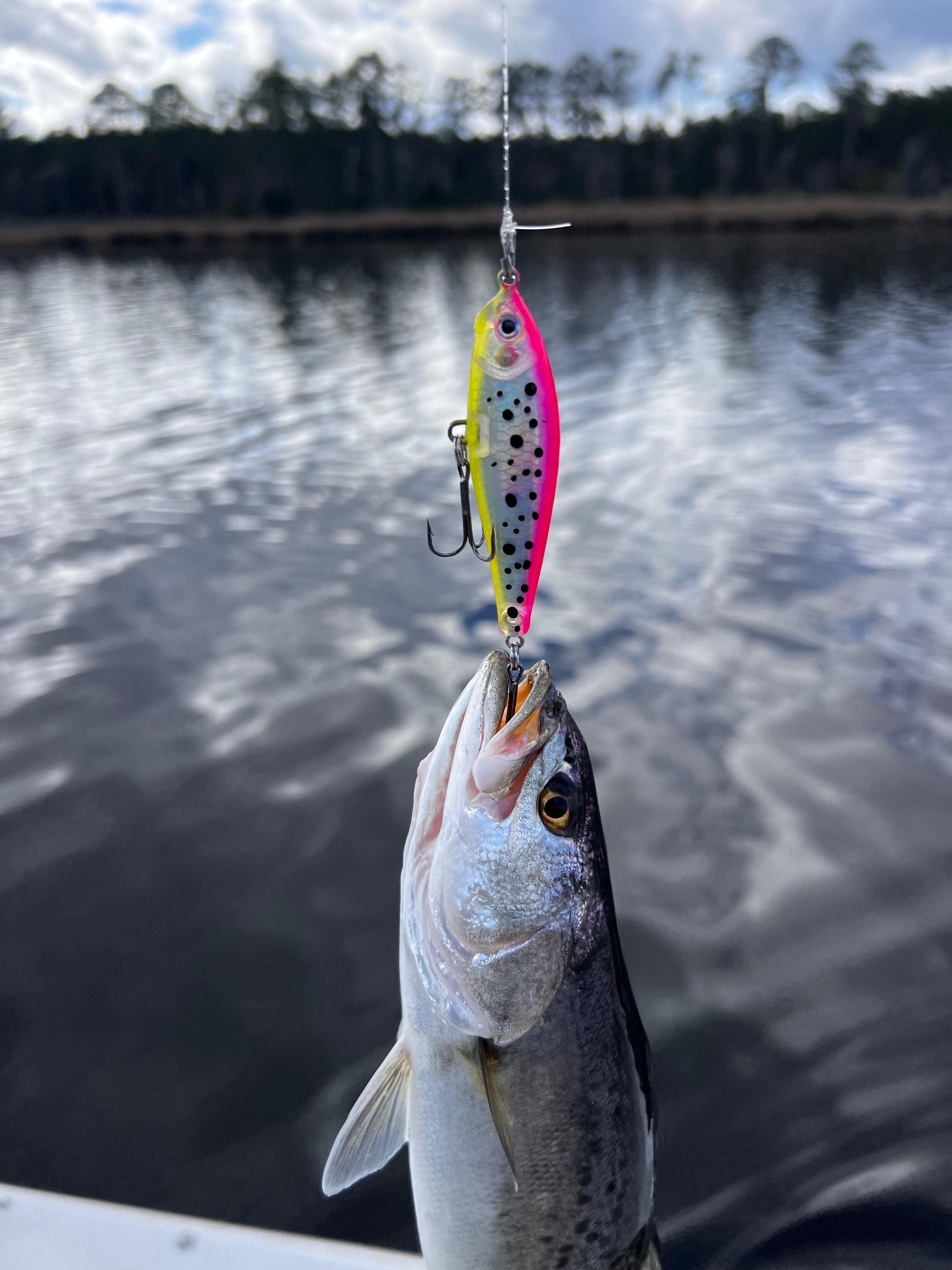 Eastern NC Inshore Fishing Charter