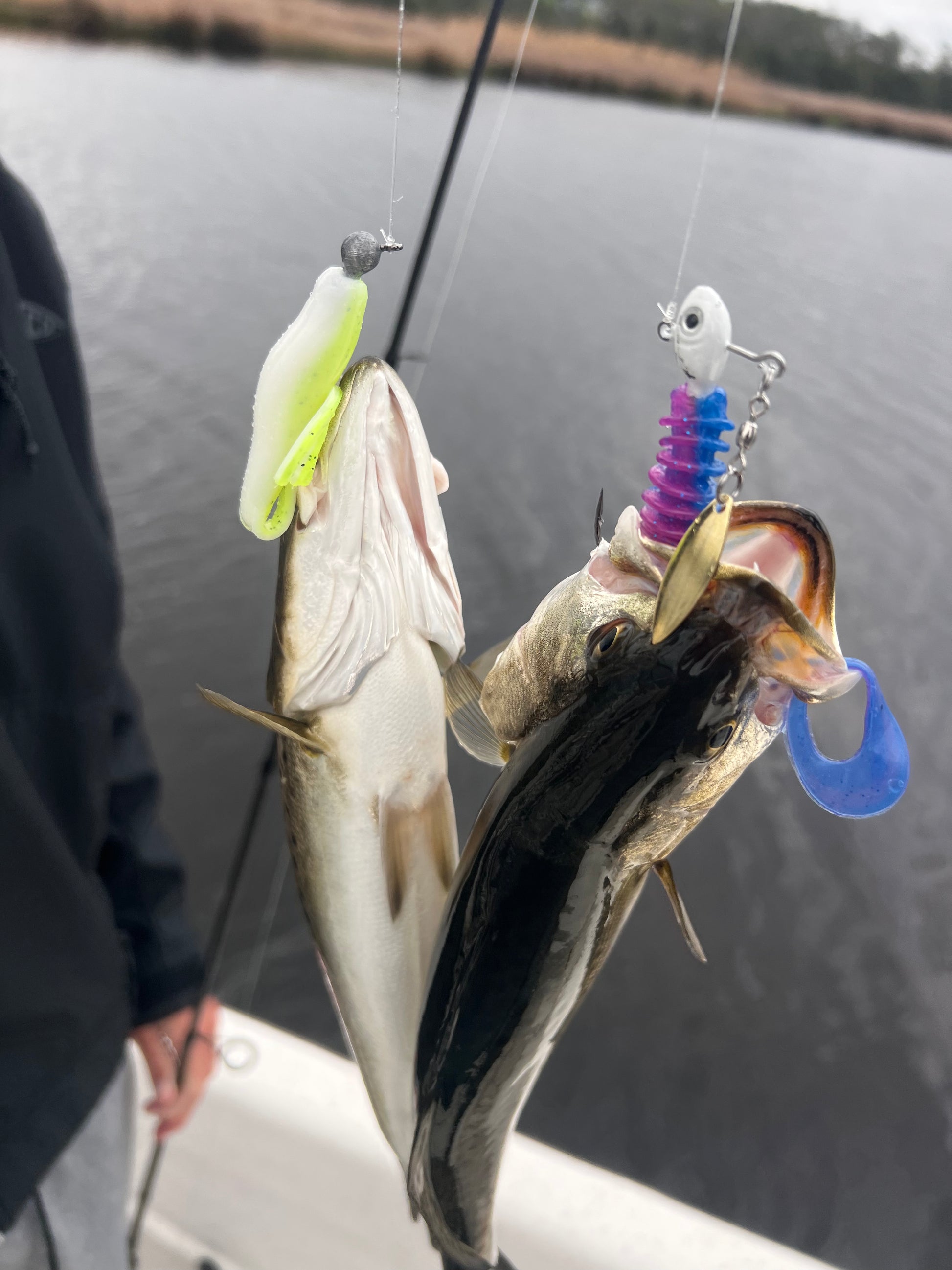 Eastern NC Inshore Fishing Charter