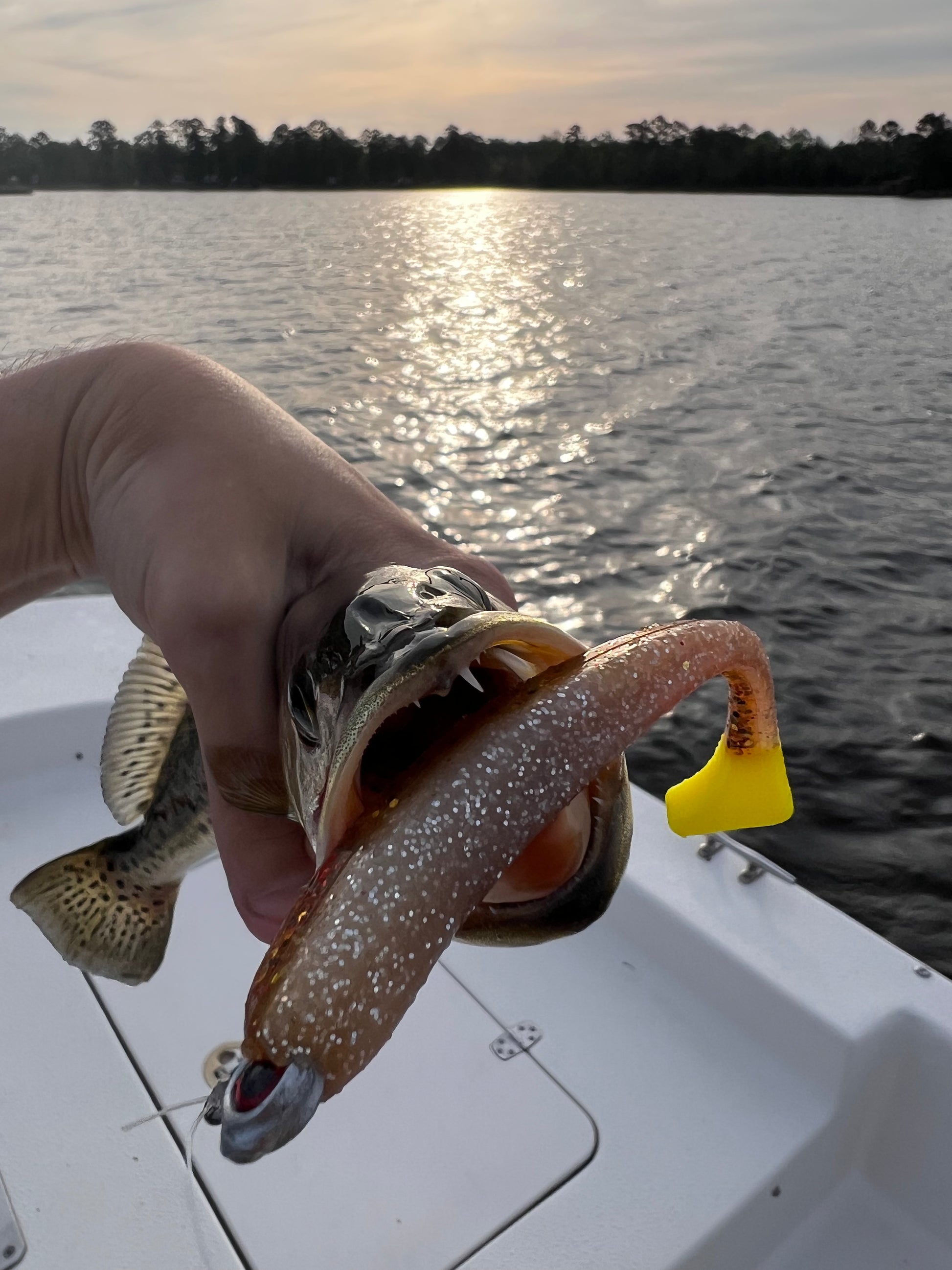Eastern NC Inshore Fishing Charter