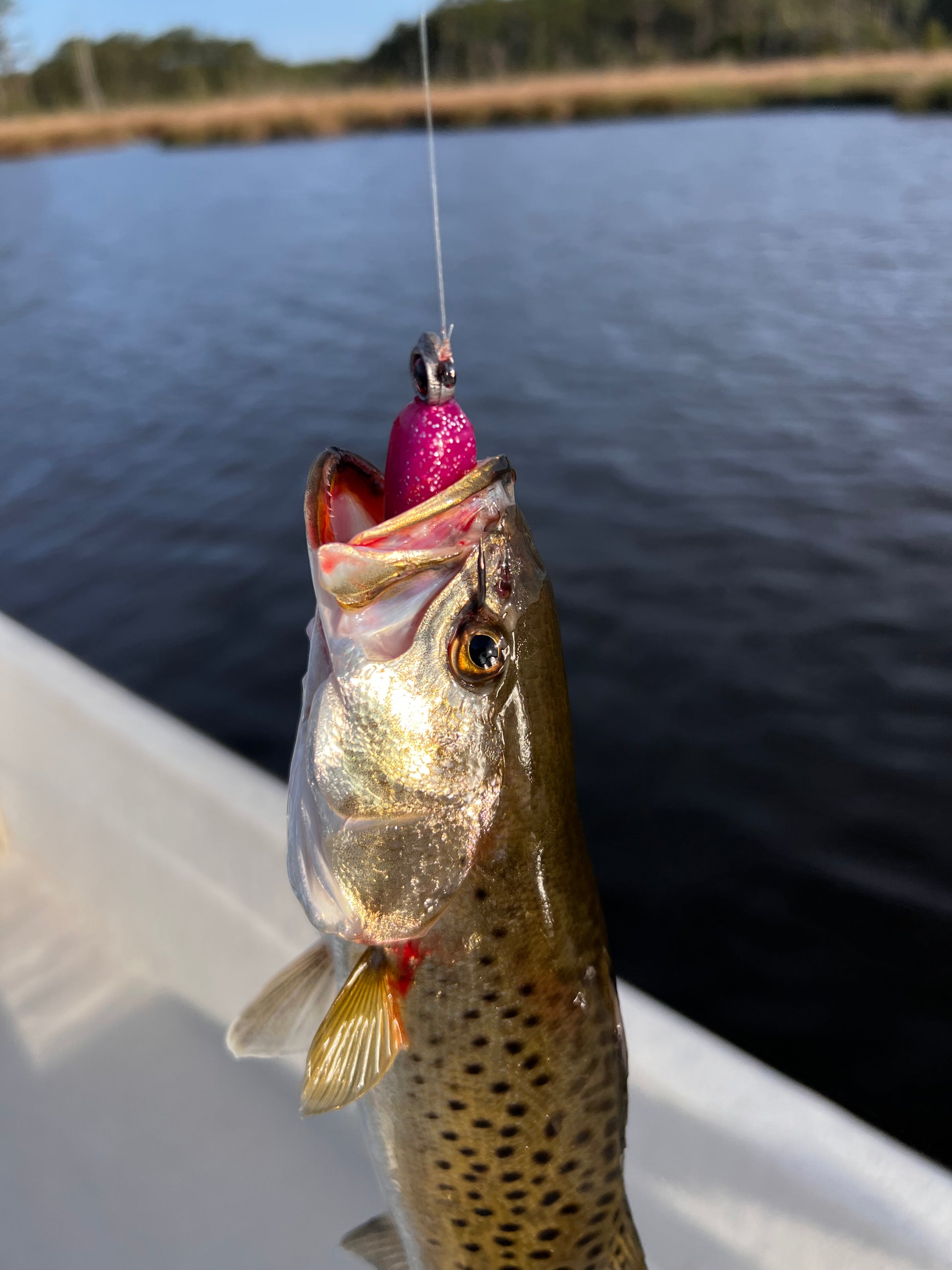 Eastern NC Inshore Fishing Charter