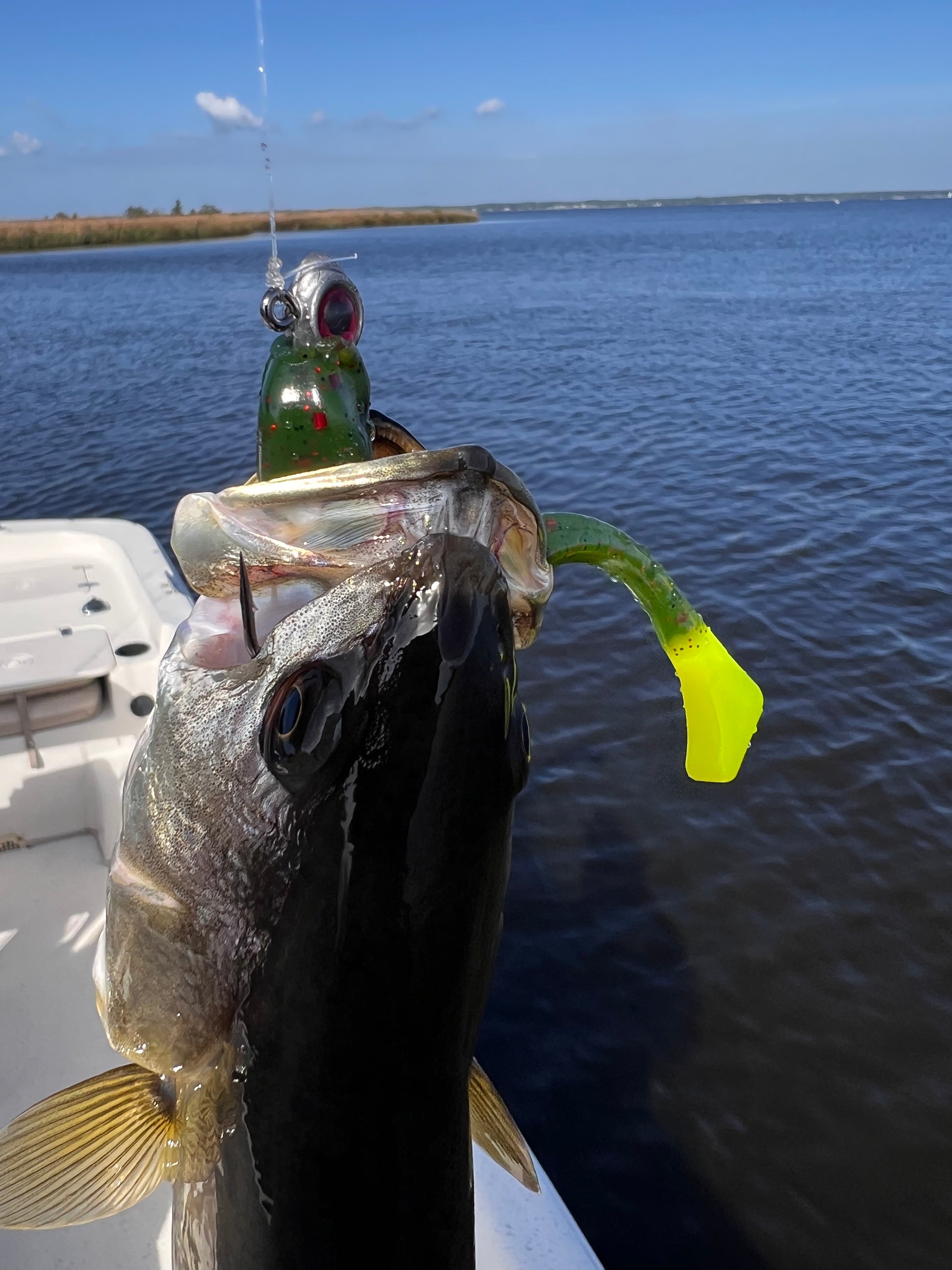 Eastern NC Inshore Fishing Charter