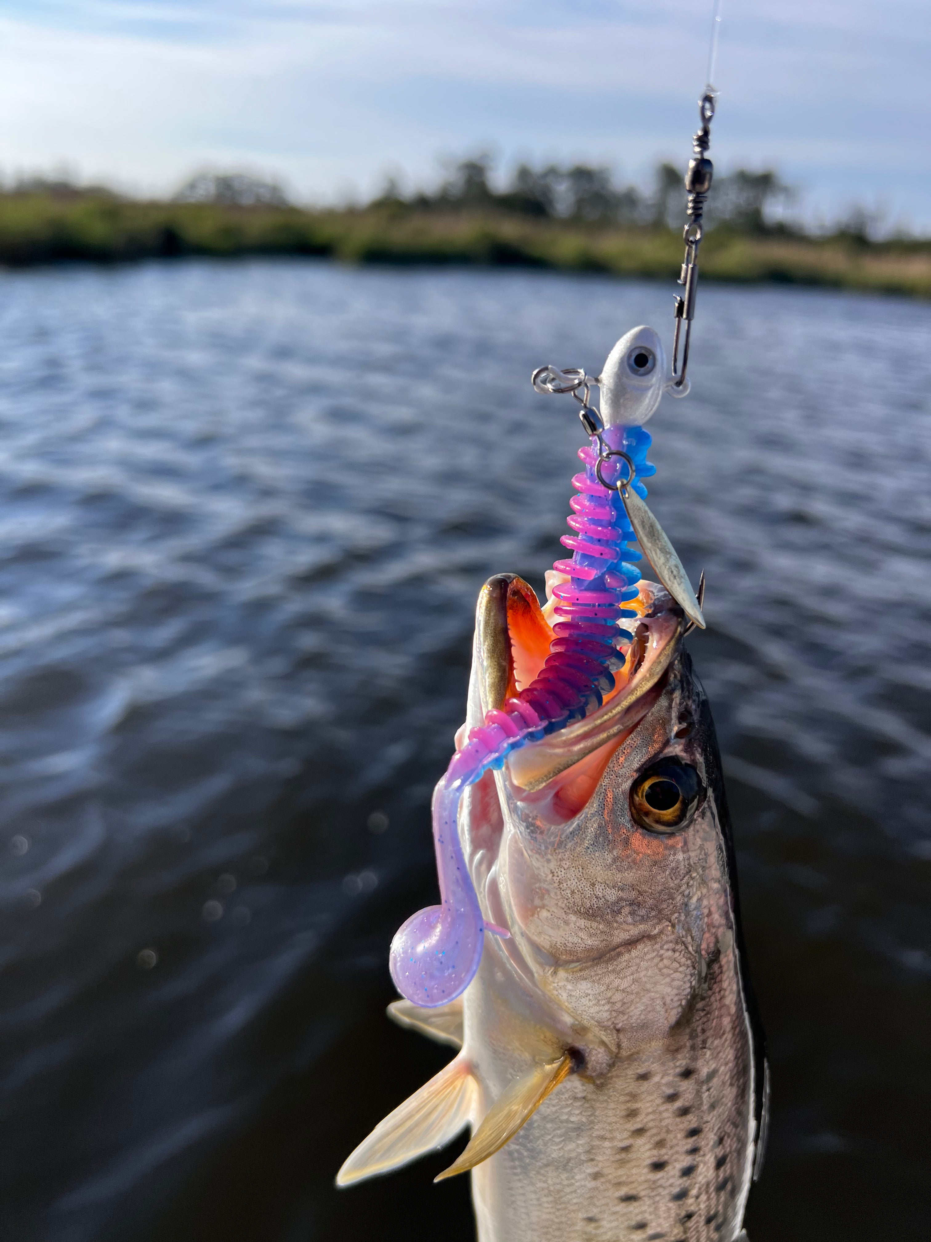 Eastern NC Inshore Fishing Charter